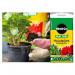 Miracle-Gro Premium Peat-Free Houseplant Potting Mix, 10L 118976