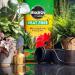 Miracle-Gro Premium Peat-Free Houseplant Potting Mix, 10L 118976