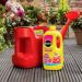 Miracle-Gro Azalea, Camellia & Rhododendron Concentrated Liquid Plant Food, 1 Litre 119677