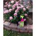 Ecofective Rose Defender RTU 1 Litre 120683