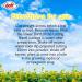 Doff 75G-Ke075 Natural Rooting Powder 75G, White, Packaging May Vary 125609