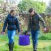 Red Gorilla Tub 38 Litre Large - Purple 126250