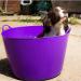 Red Gorilla Tub 38 Litre Large - Purple 126250