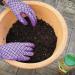 Miracle-Gro Continuous Release All Purpose Plant Food, 900g 127837