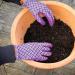 Miracle-Gro Premium All Purpose Continuous Release Plant Food, 2kg 127845