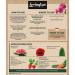 Levington Growmore All Purpose Plant Food Granules For Fruit Veg & Flowers 1.5kg 128009
