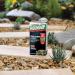 Roundup Tree Stump Weedkiller, Super Concentrate 250 Ml 128579