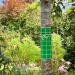 BugClear Insect Glue Barrier 5 Metre 128629