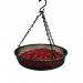 Filled Hanging Bird Feeder Tray 133504