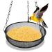 Filled Hanging Bird Feeder Tray 133504