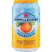 San Pellegrino Sparkling Orange Citrus Soft Drink 330ml Can Ref N003998 [Pack 24]