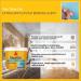Sika Blugrit Plaster Bond Agent 5L 143552
