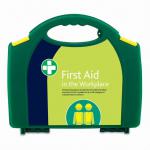 HSE 50 Person Workplace Kit in Green Aura Box 155574