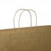 Kraft Paper Carrier Bag Twisted Handles Small 180x215x80mm 90g Natural Brown Ref 12925 [Pack 100]