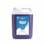 2Work BioTech All Purpose Sanitiser Unscented 5L Pack of 2 2W10426 2W10426
