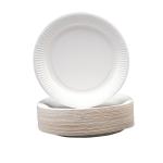 Paper Plates Disposable 230mm [Pack 100] 391987