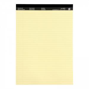 Office Executive Pad Hbd 65gsm Ruled with Blue Margin Perforated 100pp