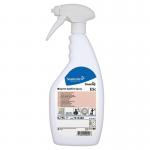 Johnson Diversey Stain and Graffiti Remover Trigger Spray 750ml Ref 7513489 4044896