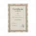 Certificate Papers with Foil Seals 90gsm A4 Bronze Wave [30 Sheets] 4049568