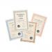 Certificate Papers with Foil Seals 90gsm A4 Bronze Wave [30 Sheets] 4049568
