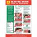 Stewart Superior Electric Shock Laminated Guidance Poster W420xH595mm Ref HS104 4063979