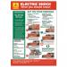 Stewart Superior Electric Shock Laminated Guidance Poster W420xH595mm Ref HS104 4063979