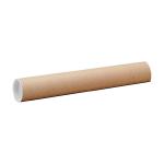 Postal Tube Cardboard with Plastic End Caps A0 L890xDia.50mm RBL10521  Pack 25 4084788