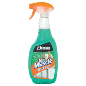 Click to view product details and reviews for Mr Muscle Window Glass Cleaner Professional 750ml Ref 1003009.