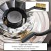 Harris Essentials Mini Wire Brush 3 Pack, Nylon, Steel & Brass 464651