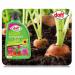 Doff Liquid Growmore Highly Concentrated 1L=300L Ready to Use Seaweed Enriched Formula 476903