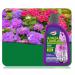 Doff Azalia, Camellia, Rhododendron Feed 1L 476945