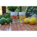 Vitax Citrus Feed for Summer Soluble Plant Feeds, 200g Tub 486860