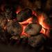 Brazier Homefire Smokeless Coal 10kg Bag 505636