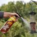 The Big Cheese Hot Nuts Grey Squirrel Deterrent Spray 1 Litre 525972