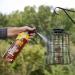 The Big Cheese Hot Nuts Grey Squirrel Deterrent Spray 1 Litre 525972