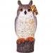 The Big Cheese Long Eared Owl Realistic Decoy Deterrent, Scares Birds From Gardens And Buildings 565309