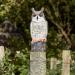 The Big Cheese Long Eared Owl Realistic Decoy Deterrent, Scares Birds From Gardens And Buildings 565309