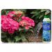 Vitax Hydrangea Colourant Changes Pink To Blue 500g 566646