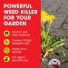 Doff 247 Fast Acting Weedkiller 1 Litre 574616