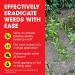 Doff 247 Fast Acting Weedkiller 1 Litre 574616