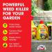 Doff Advanced Concentrated Weedkiller Kills Deep Rooted Weeds 1 Litre 574681