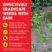 Doff Advanced Concentrated Weedkiller Kills Deep Rooted Weeds 1 Litre 574681