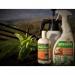 Grazers G2 Slug and Snail Deterrent Ready to Use Eco Friendly 750ml 589770