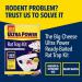 The Big Cheese Ultra Power Ready-Baited Rat Trap Kit All-In-One Set Reusable 604603