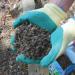 Defenders All-Natural Slugs Away Wool Pellets ‚¬€œ 1 Litre 616094