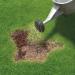 Miracle-Gro Patch Magic Grass Seed, Feed And Coir 1.5Kg - 20 Patches, Green 618751