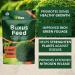 Vitax Buxus Feed Extended Nitrogen Release, Promotes Healthy Growth: 1Kg Pouch 621029
