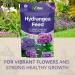 Vitax Hydrangea Feed Added Magnesium and Iron Reasealable Pouch 1kg 629014