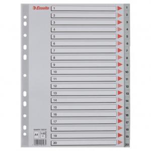 Esselte Index, PP, A4 - Outer carton of 10 100107