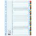 Esselte Mylar 1-31 Part Dividers A4 - Multi-Coloured - Outer carton of 10 100164